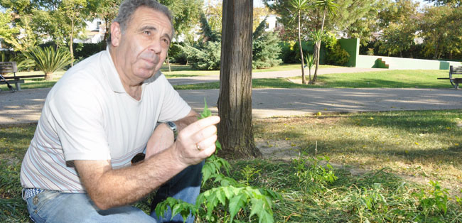 antonio-cimarro-tomares-cabanuelista-061011