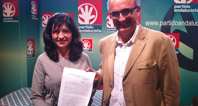 gonzalez-alvarez-ossorio-recurso-tc-311011