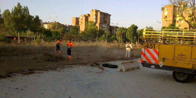 limpieza-accesos-colegio-alberto-lista