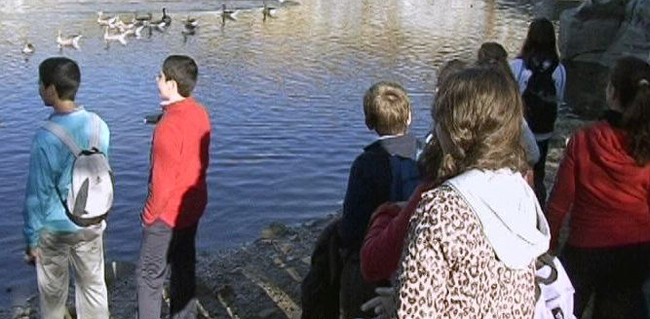 jornada-voluntariado-ambiental-berrocal-301111