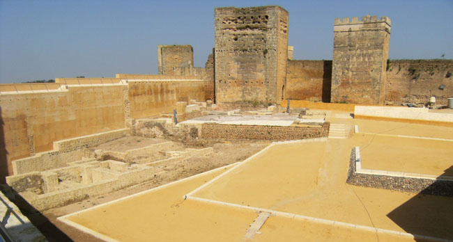 sima-castillo-alcala