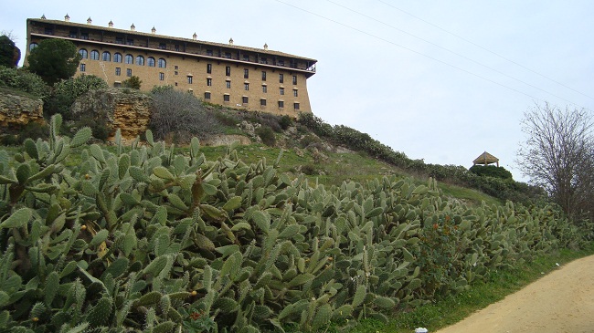 camino-cueva-batida-carmona