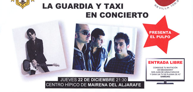 concierto-navidad-mairena-aljarafe-221211