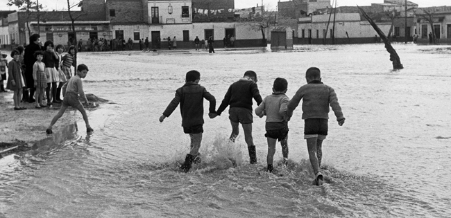 expo-operacion-clavel-diciembre-2011