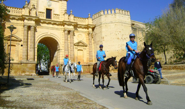 ruta-ecuestre-campina-alcores