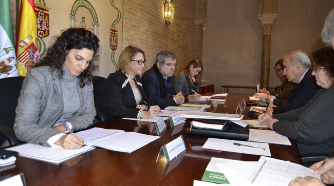 carmen-tovar-plan-ola-sevilla-180112