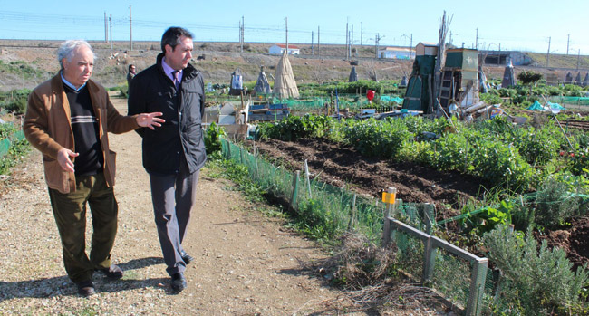 espadas-huertos-ecologicos-280112