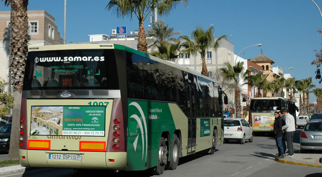 autobuses-amarillos
