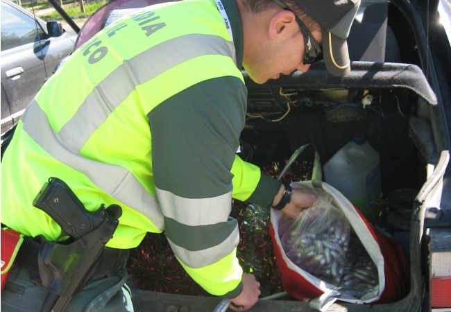 bellotas-hachis-guardia-civil-250212