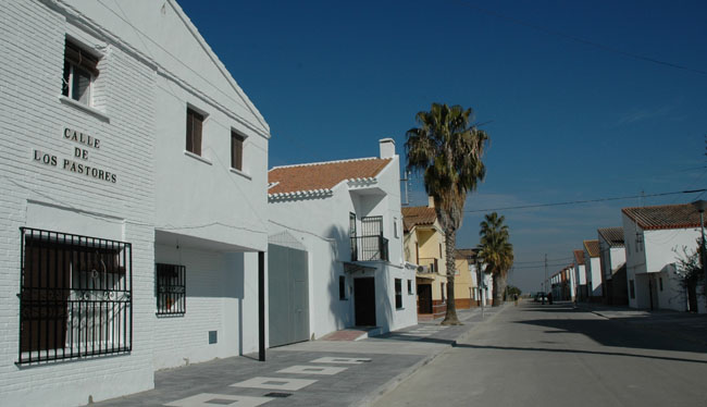 calle-pastores-el-trobal-010212
