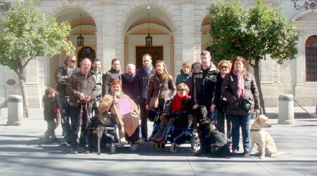 colectivos-discapacidad-sevilla-140212