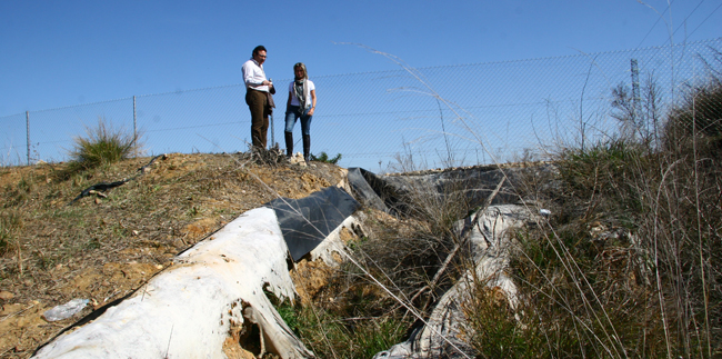 balsas-alpechin-dos-hermanas-050312