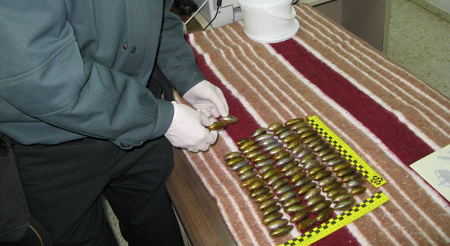 bellotas-hachis-guardia-civil-020312