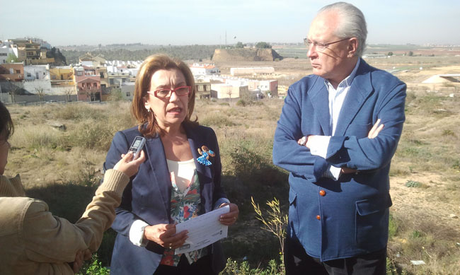 hornillo-raynaud-alcala-140312