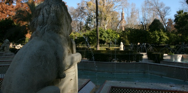 leones-parque-maria-luisa-040312-2