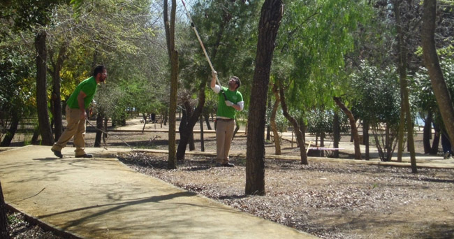 parque-almendral-150312