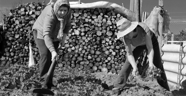 'La tierra y el trabajo', fotografía premiada/SA