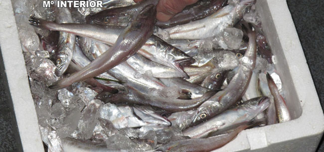 Las pijotas incautadas no daban la talla mínima exigida/SA