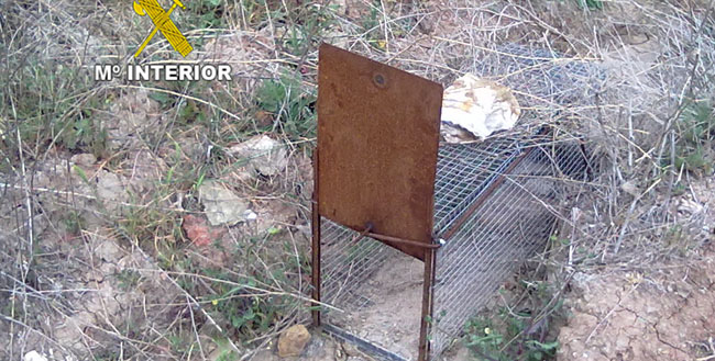 cebo-caza-osuna-310512