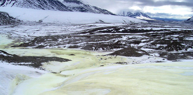 firodo-borup-gleeson-sinc