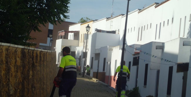 limpieza-barriada-necropolis-280512