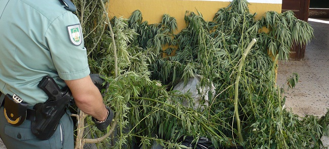 Material incautado por la Guardia Civil/SA