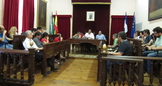pleno-carmona-150512