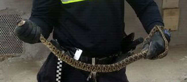 Los propios vecinos dieron la voz de alerta/SA