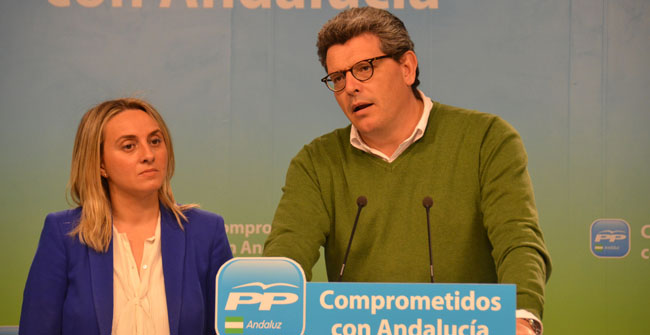 Asegura que el nuevo gobierno no va a servir para sacar a Andalucía de la crisis económica/SA