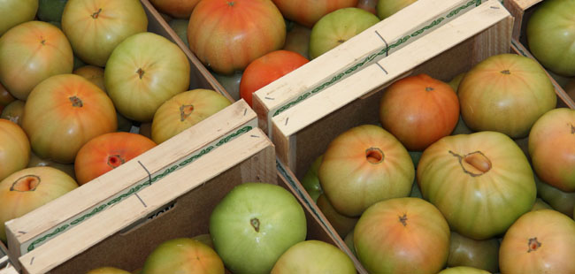 tomates-palacios-villafranca