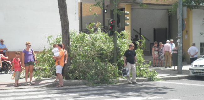 caida-rama-ronda-triana-030612