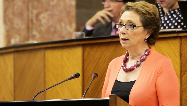 carmen-martinez-aguayo-parlamento-270612