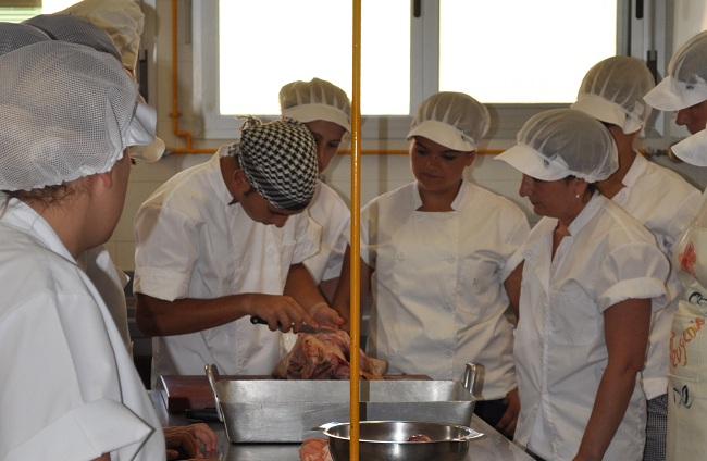 cursos-proempleo-iv-diputacion