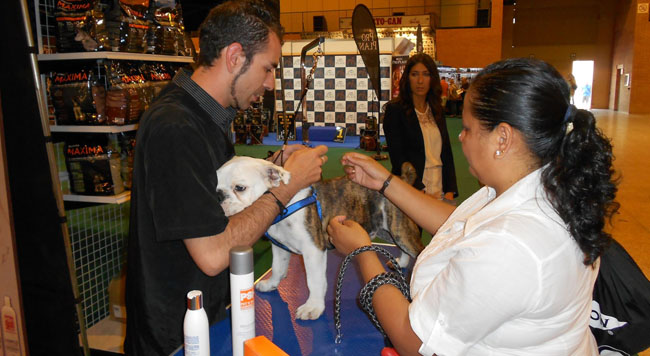expo-nacional-canina-fibes-010612