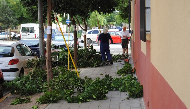 pza-tendillas-ecologistas-270612