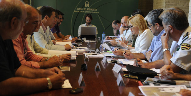 tovar-plan-romero-sevilla-010612