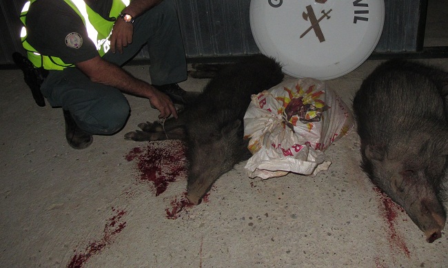 cazadores-furtivos-aznalcazar-080712