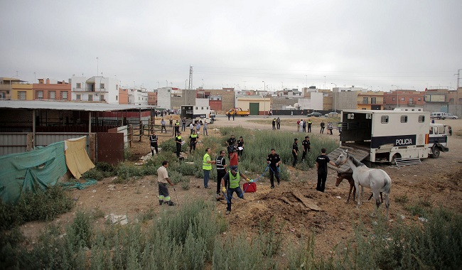 clausura-cuadras-sevilla-090712