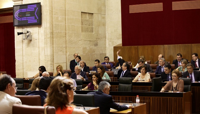 pleno-extraordinario-parlamento-250712