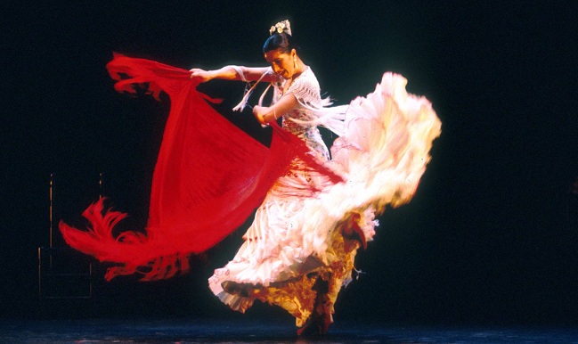 expo-color-del-flamenco-280812