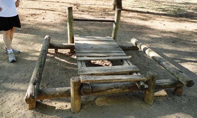 torrijos-parque-amate-020812