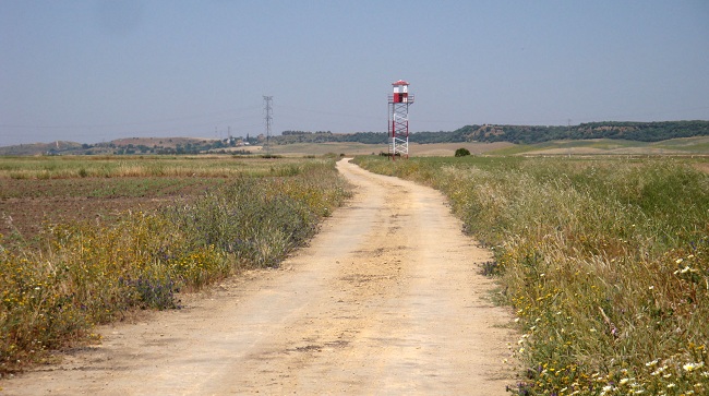 caminos-deslinde-mairena-alcor-280912