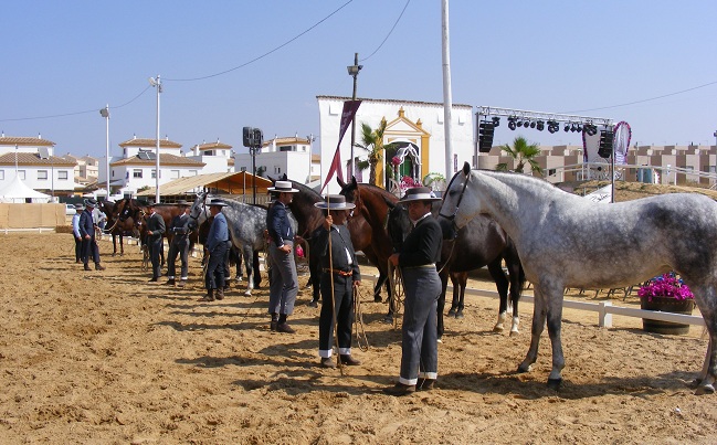concurso-morfofuncional-caballos-gines