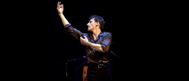 El bailaor Fernando Romero /LaBienal