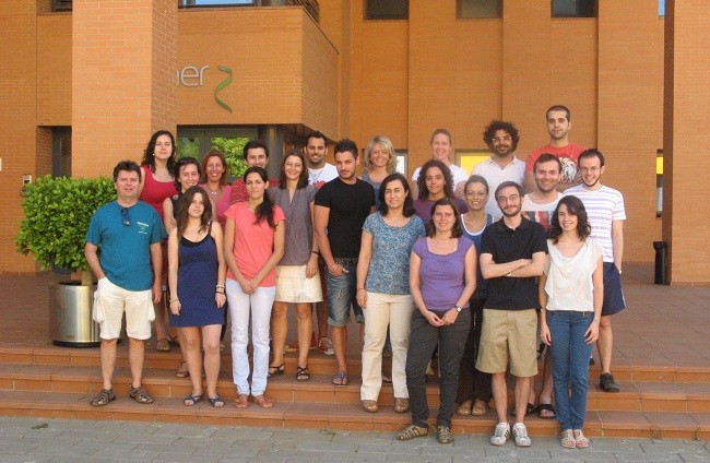 grupo-inestabilidad-gentica-us