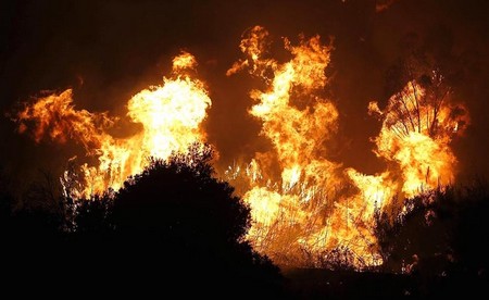 El fuego ha afectado a 6 municipios de la provincia de Málaga./Agencias