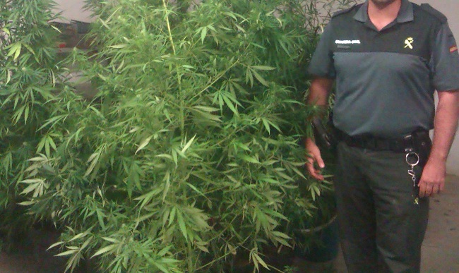 marihuana-joven-amenazas-madre-270912