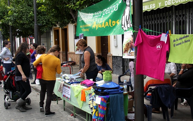 encuentro-asociaciones-voluntarios-los-palacios-241012