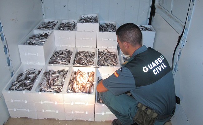 merluza-inmadura-seprona-sevilla-191012