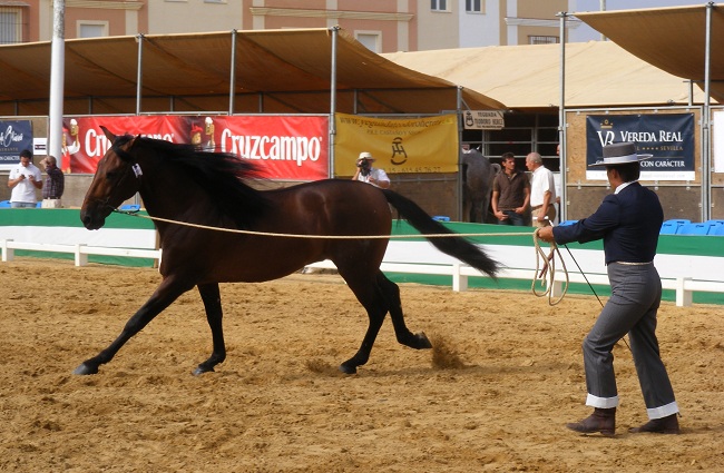 una-para-en-gines-2012